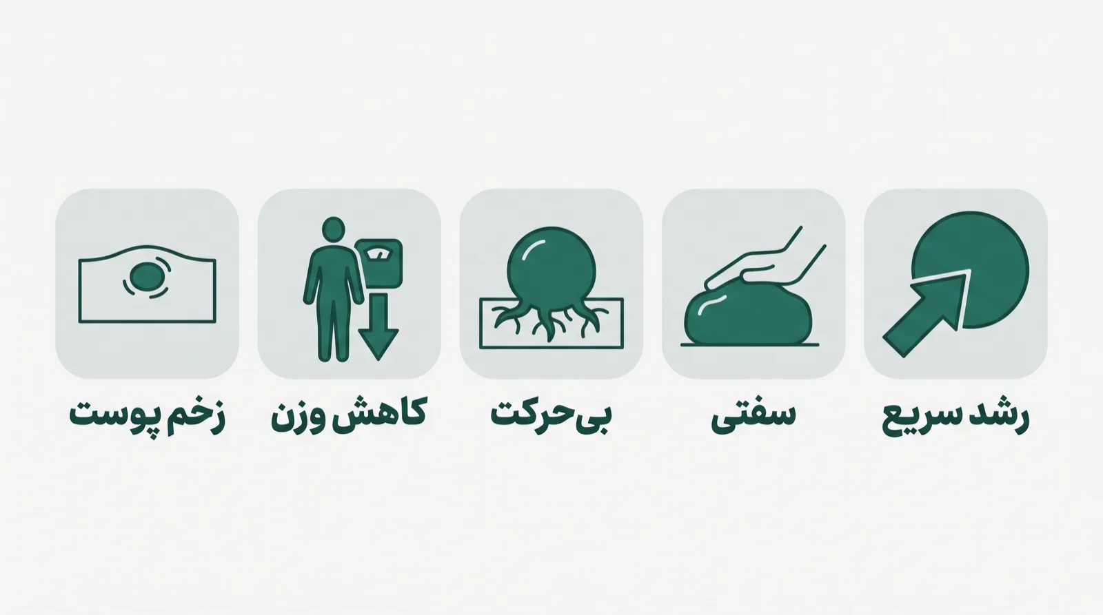 پنج نشانه‌ی هشدار توده: رشد سریع، سفتی، بی‌حرکت بودن زیر انگشت، کاهش وزن و تغییر یا زخم پوست روی توده