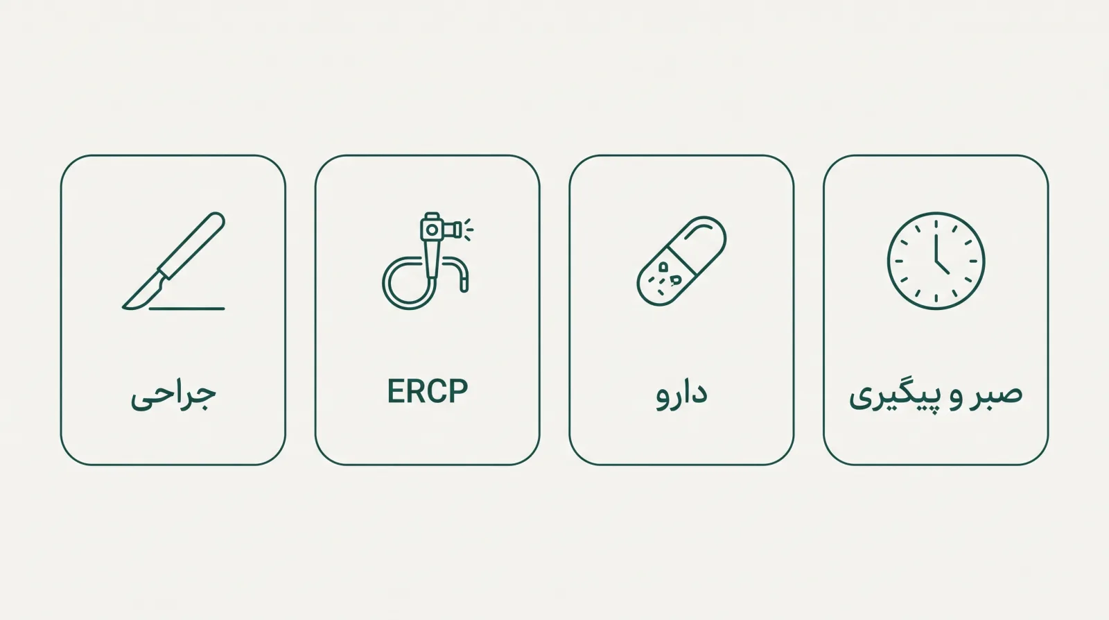 چهار گزینه درمان سنگ کیسه صفرا: صبر و پیگیری، دارو، ERCP و جراحی